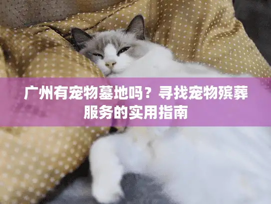 广州有宠物墓地吗？寻找宠物殡葬服务的实用指南