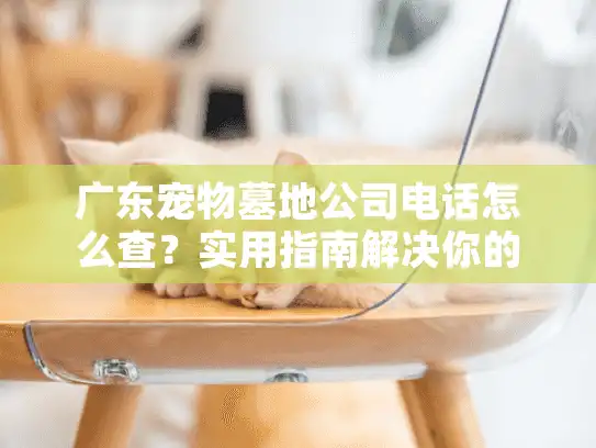 广东宠物墓地公司电话怎么查？实用指南解决你的燃眉之急