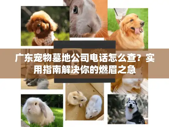 广东宠物墓地公司电话怎么查？实用指南解决你的燃眉之急