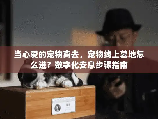 当心爱的宠物离去，宠物线上墓地怎么进？数字化安息步骤指南