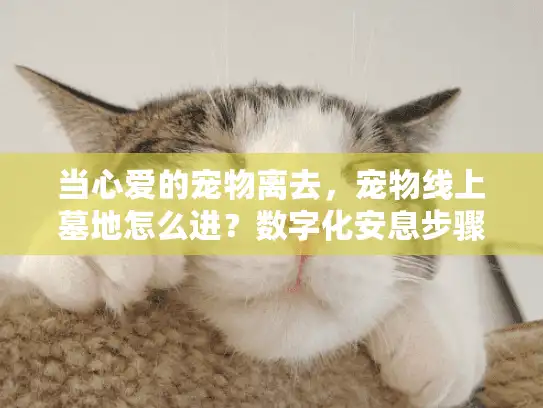 当心爱的宠物离去，宠物线上墓地怎么进？数字化安息步骤指南