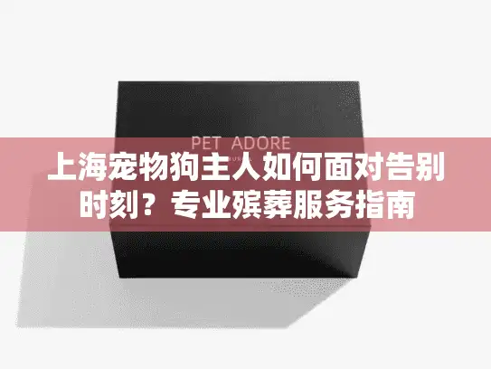 上海宠物狗主人如何面对告别时刻？专业殡葬服务指南
