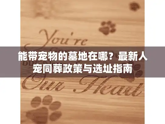 能带宠物的墓地在哪？最新人宠同葬政策与选址指南