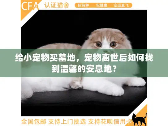 给小宠物买墓地，宠物离世后如何找到温馨的安息地？