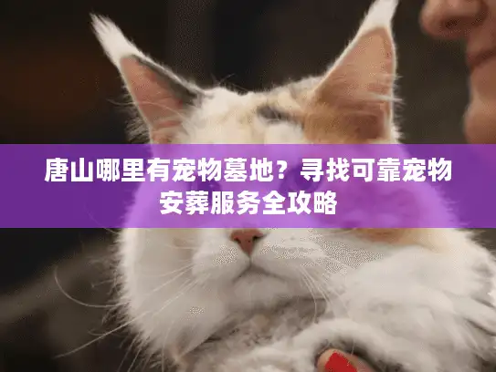 唐山哪里有宠物墓地？寻找可靠宠物安葬服务全攻略