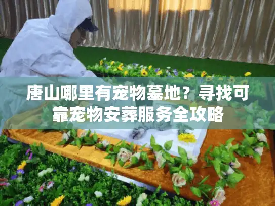 唐山哪里有宠物墓地？寻找可靠宠物安葬服务全攻略