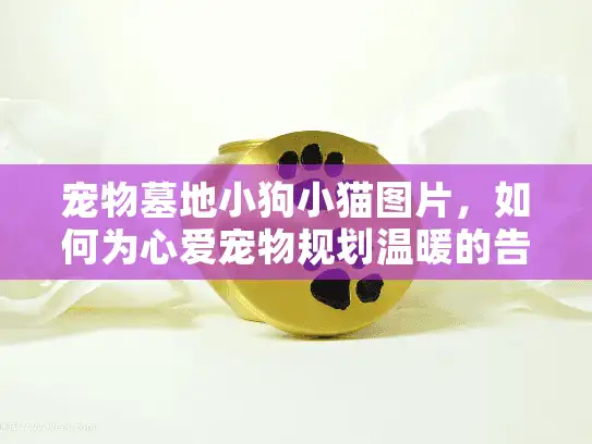 宠物墓地小狗小猫图片，如何为心爱宠物规划温暖的告别？
