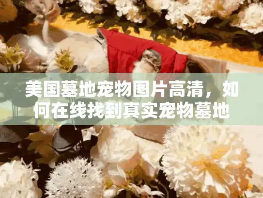美国墓地宠物图片高清，如何在线找到真实宠物墓地高清图像？