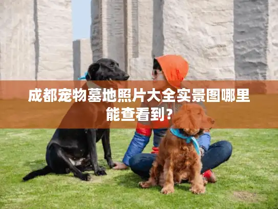 成都宠物墓地照片大全实景图哪里能查看到？