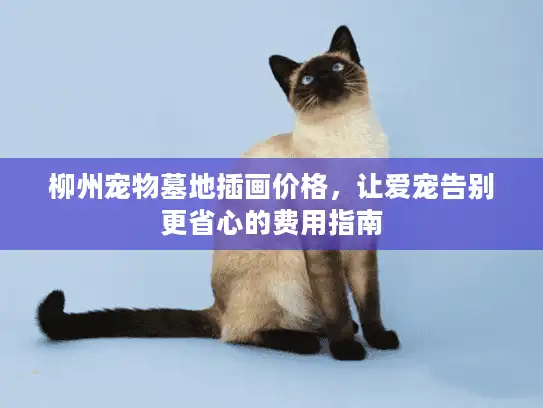 柳州宠物墓地插画价格，让爱宠告别更省心的费用指南