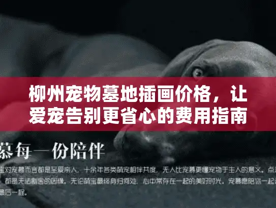 柳州宠物墓地插画价格，让爱宠告别更省心的费用指南