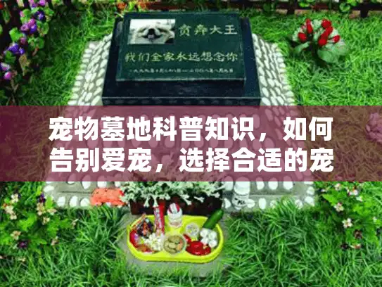宠物墓地科普知识，如何告别爱宠，选择合适的宠物墓地
