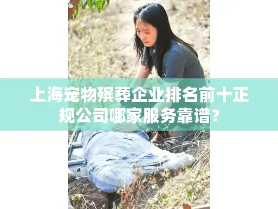 上海宠物殡葬企业排名前十正规公司哪家服务靠谱？
