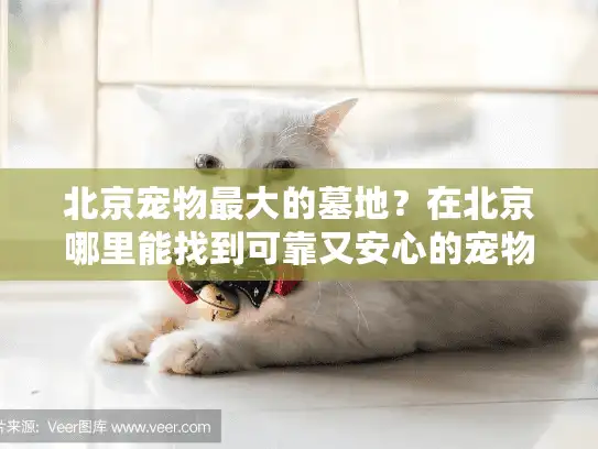 北京宠物最大的墓地？在北京哪里能找到可靠又安心的宠物安息之所？