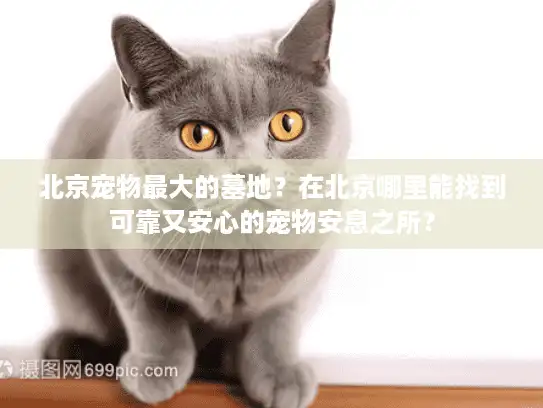 北京宠物最大的墓地？在北京哪里能找到可靠又安心的宠物安息之所？