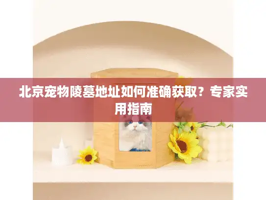 北京宠物陵墓地址如何准确获取？专家实用指南