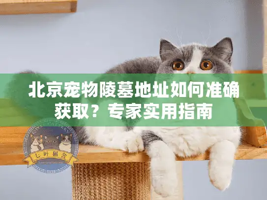 北京宠物陵墓地址如何准确获取？专家实用指南