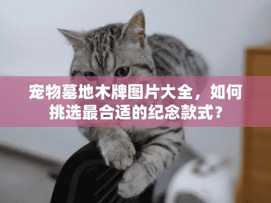 宠物墓地木牌图片大全，如何挑选最合适的纪念款式？