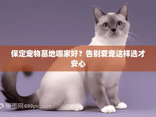 保定宠物墓地哪家好？告别爱宠这样选才安心