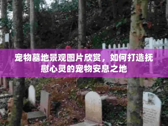 宠物墓地景观图片欣赏，如何打造抚慰心灵的宠物安息之地