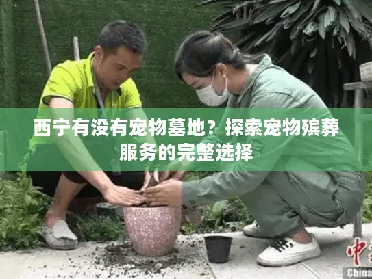西宁有没有宠物墓地？探索宠物殡葬服务的完整选择
