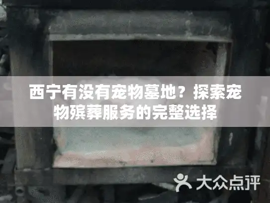 西宁有没有宠物墓地？探索宠物殡葬服务的完整选择