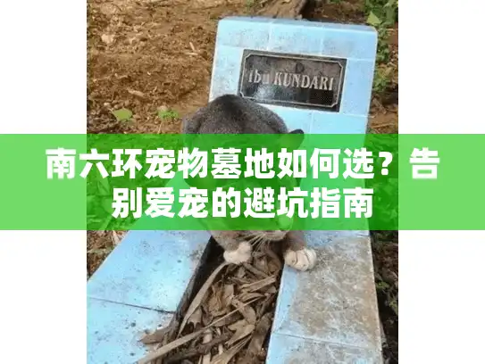 南六环宠物墓地如何选？告别爱宠的避坑指南