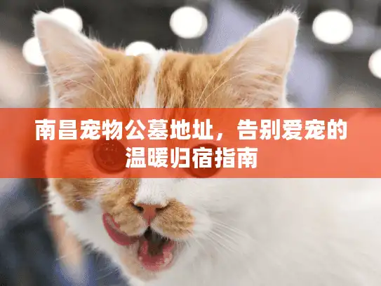 南昌宠物公墓地址，告别爱宠的温暖归宿指南