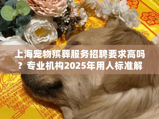 上海宠物殡葬服务招聘要求高吗？专业机构2025年用人标准解析