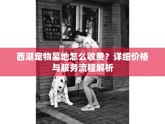 西湖宠物墓地怎么收费？详细价格与服务流程解析