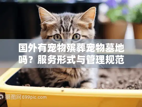 国外有宠物殡葬宠物墓地吗？服务形式与管理规范全解析