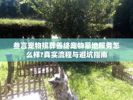 叁言宠物殡葬善终宠物墓地服务怎么样?真实流程与避坑指南