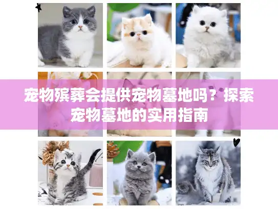 宠物殡葬会提供宠物墓地吗？探索宠物墓地的实用指南