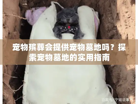 宠物殡葬会提供宠物墓地吗？探索宠物墓地的实用指南