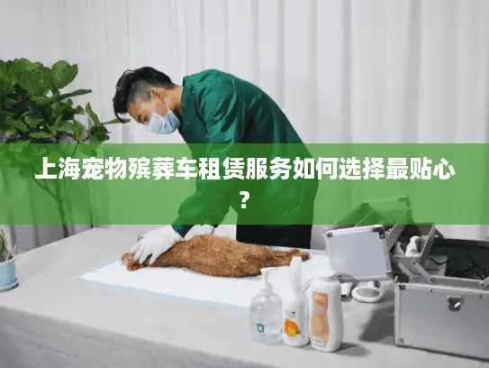 上海宠物殡葬车租赁服务如何选择最贴心?