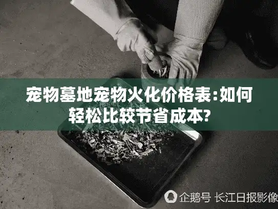 宠物墓地宠物火化价格表:如何轻松比较节省成本?