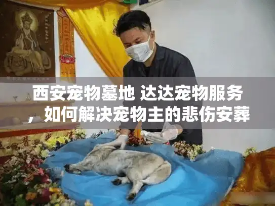 西安宠物墓地 达达宠物服务，如何解决宠物主的悲伤安葬难题？