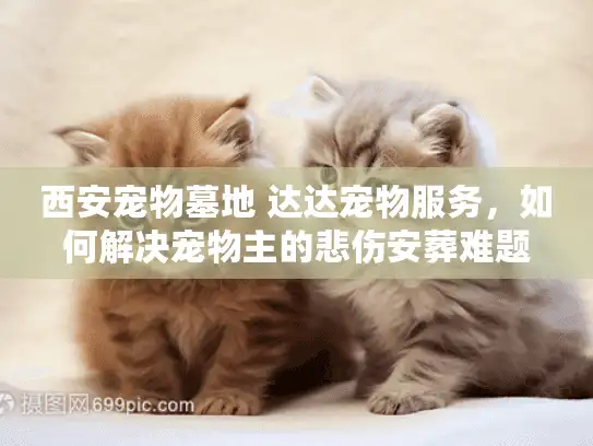 西安宠物墓地 达达宠物服务，如何解决宠物主的悲伤安葬难题？
