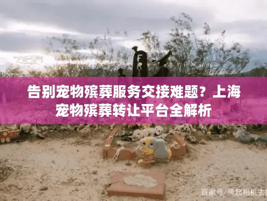 告别宠物殡葬服务交接难题？上海宠物殡葬转让平台全解析
