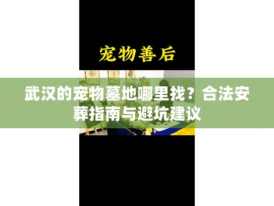 武汉的宠物墓地哪里找？合法安葬指南与避坑建议