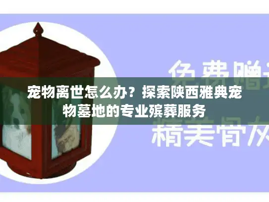 宠物离世怎么办？探索陕西雅典宠物墓地的专业殡葬服务