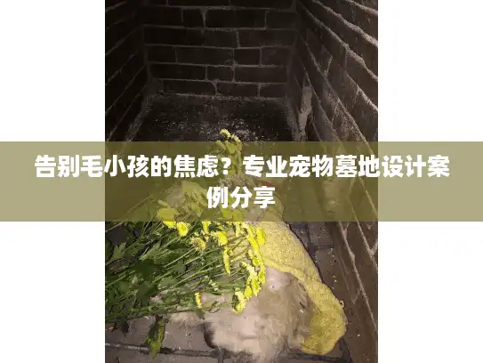 告别毛小孩的焦虑？专业宠物墓地设计案例分享
