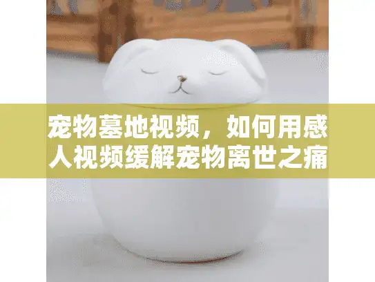 宠物墓地视频，如何用感人视频缓解宠物离世之痛