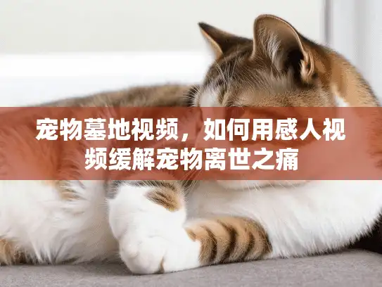 宠物墓地视频，如何用感人视频缓解宠物离世之痛