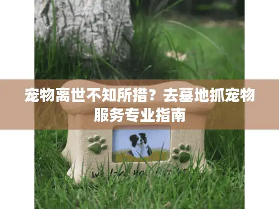 宠物离世不知所措？去墓地抓宠物服务专业指南
