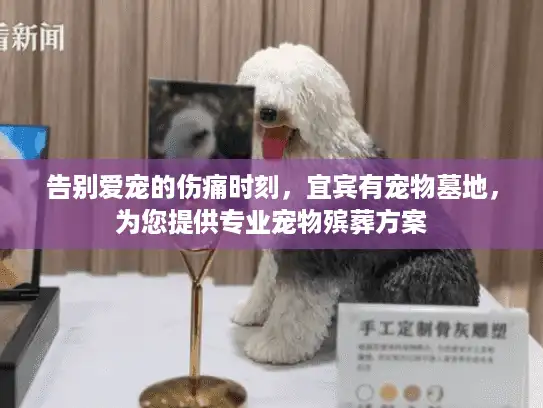 告别爱宠的伤痛时刻，宜宾有宠物墓地，为您提供专业宠物殡葬方案