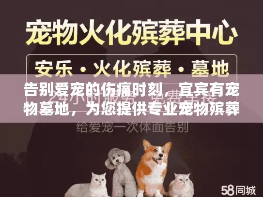 告别爱宠的伤痛时刻，宜宾有宠物墓地，为您提供专业宠物殡葬方案