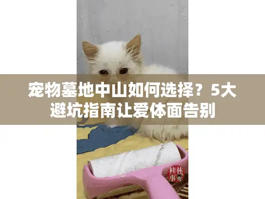 宠物墓地中山如何选择？5大避坑指南让爱体面告别