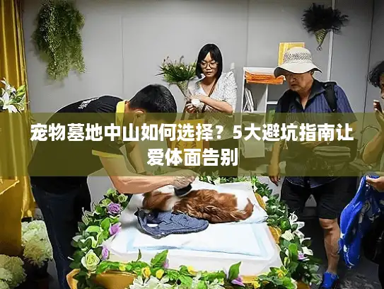 宠物墓地中山如何选择？5大避坑指南让爱体面告别