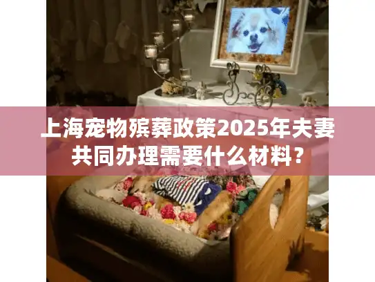 上海宠物殡葬政策2025年夫妻共同办理需要什么材料？